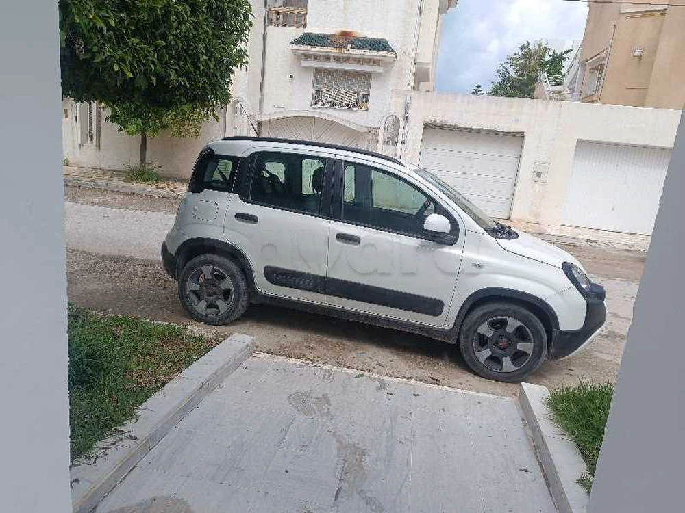 Carte voiture Fiat Panda