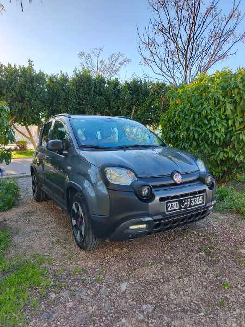 Carte voiture Fiat Panda