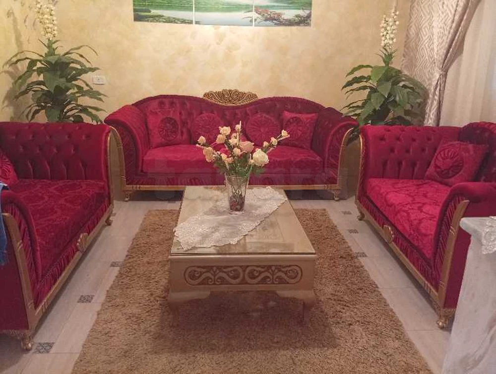 a vendre salon velours avec table basse et tapis 
et meuble TV état neuf