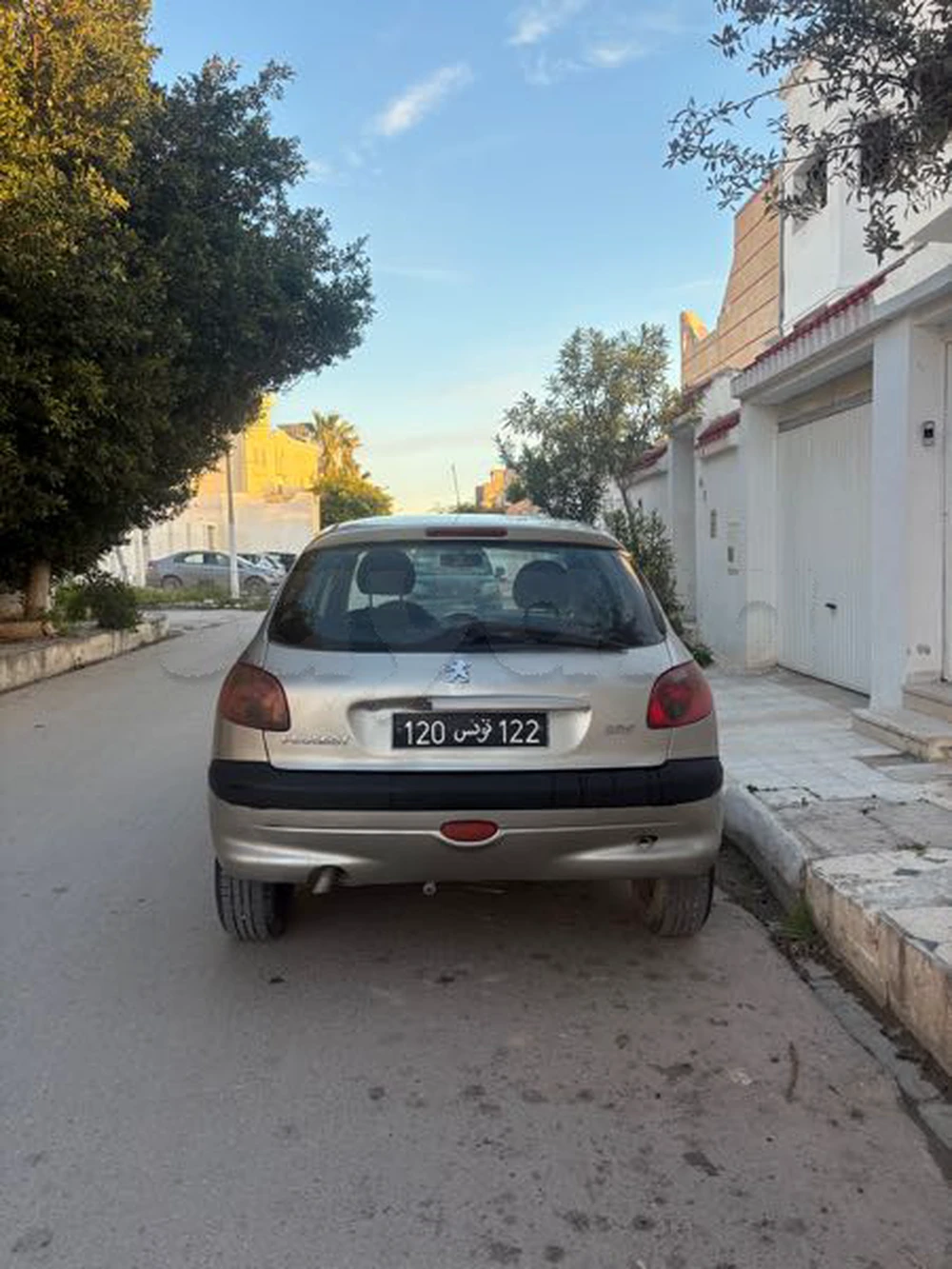 Carte voiture Peugeot 206