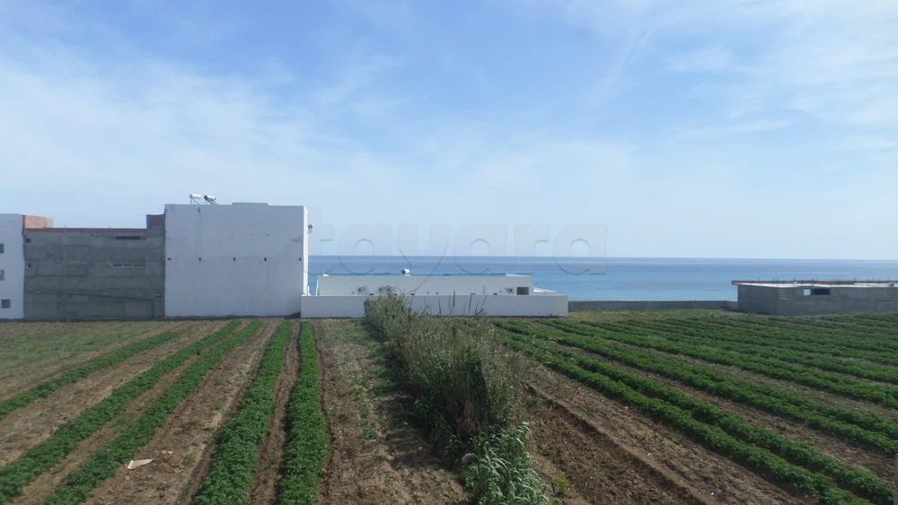 S+2 Climatisé à Dar Allouche