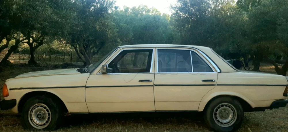 Mercedes-Benz 250