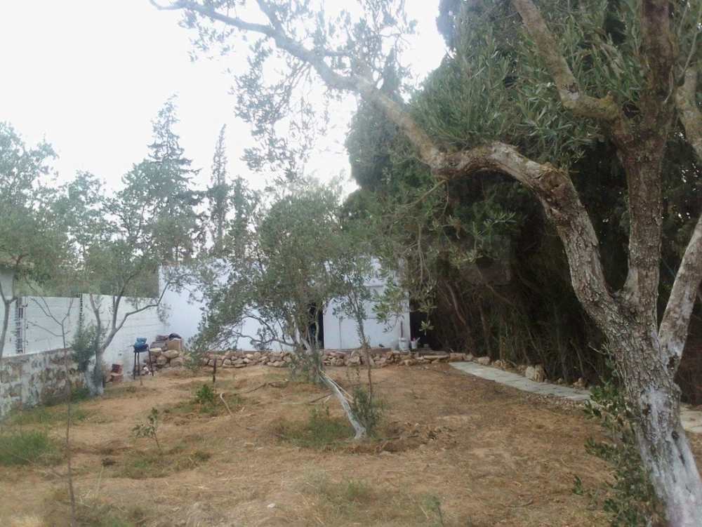 Maison +terrain route plage rasjbal