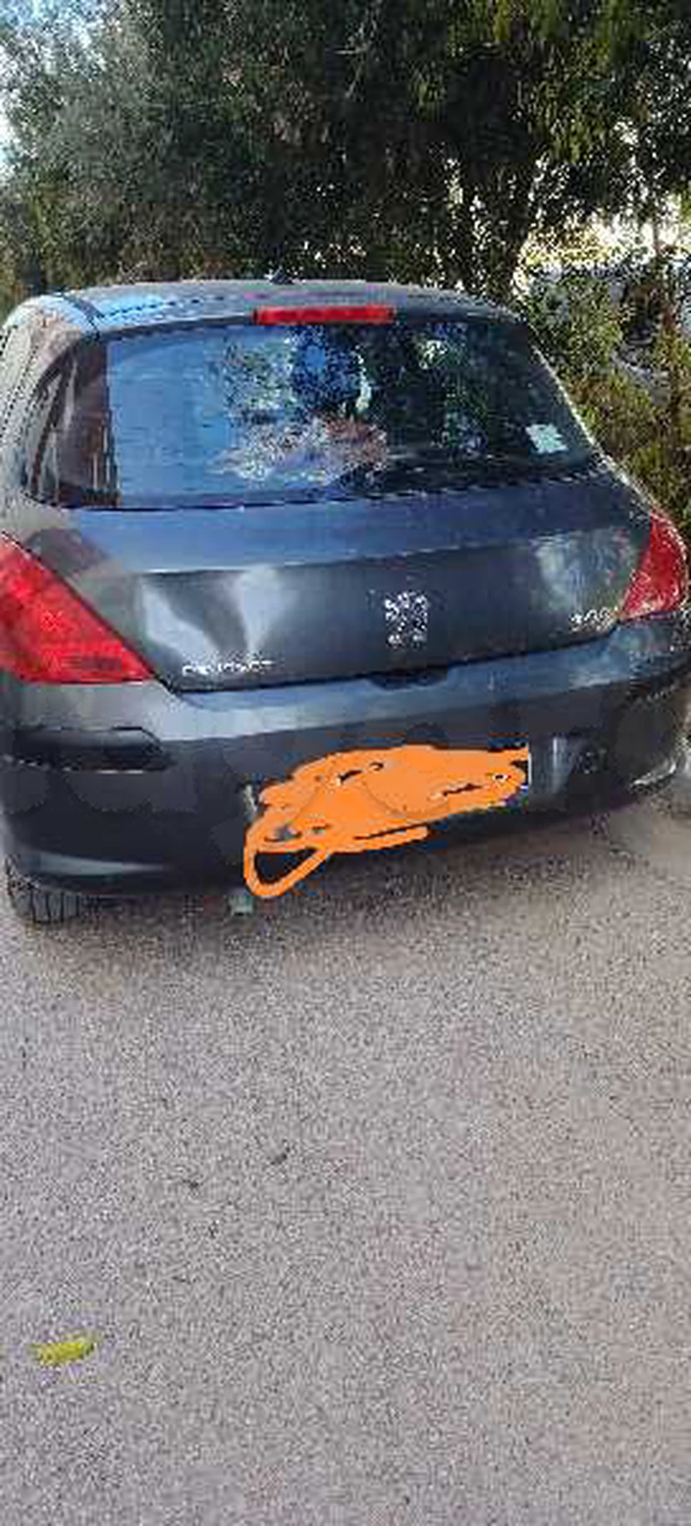 Carte voiture Peugeot 308 SW