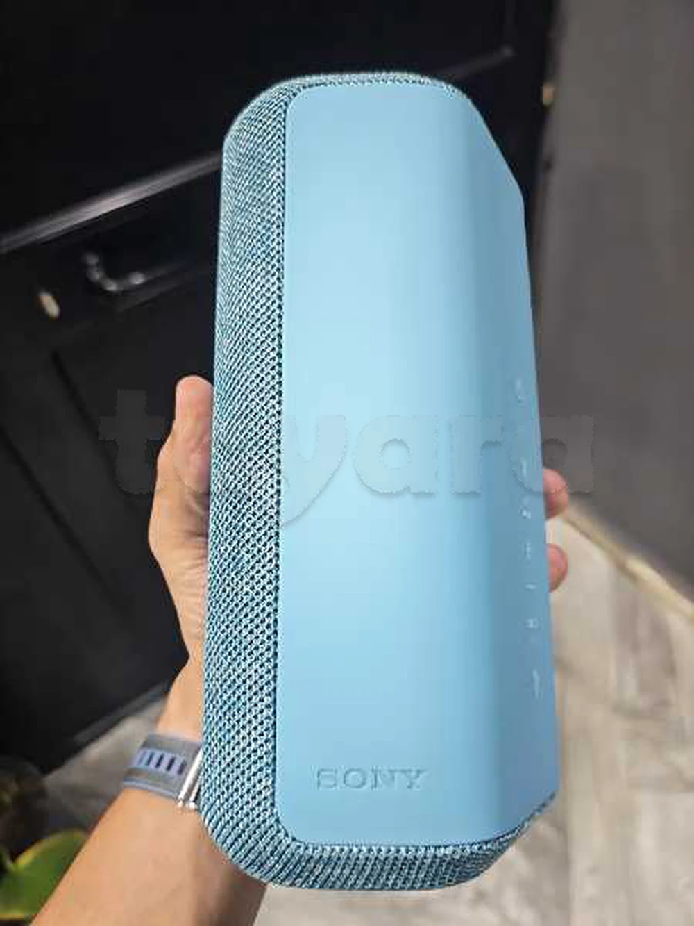 enceinte Sony SRS-XE300