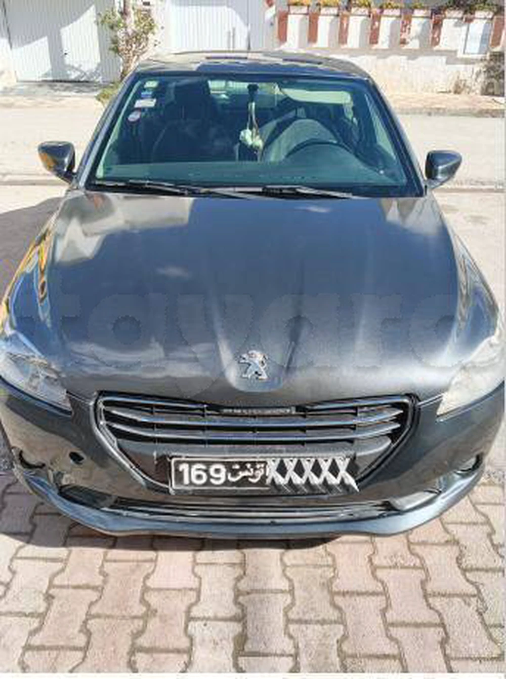 Carte voiture Peugeot 301