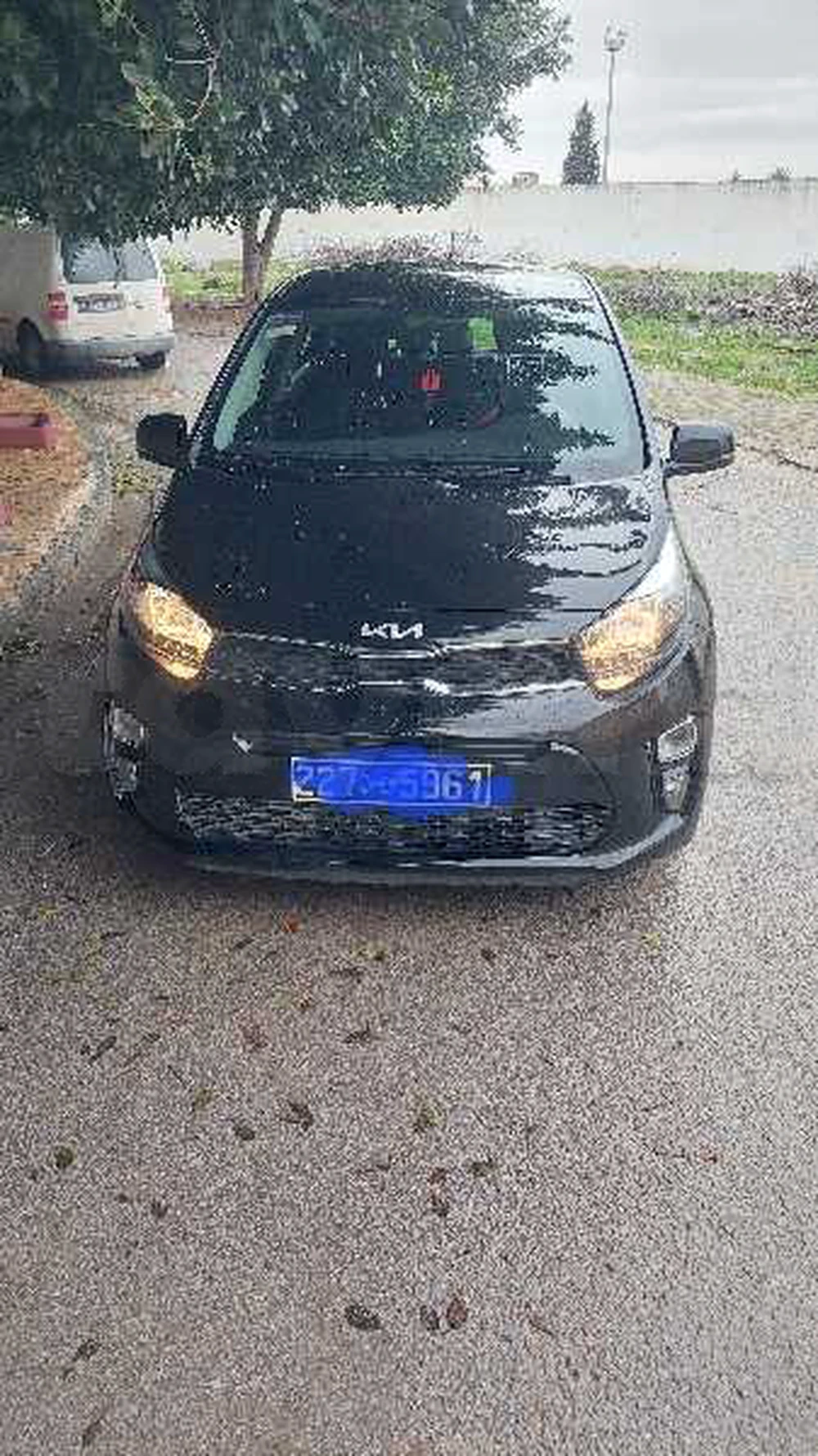 Carte voiture Kia Picanto