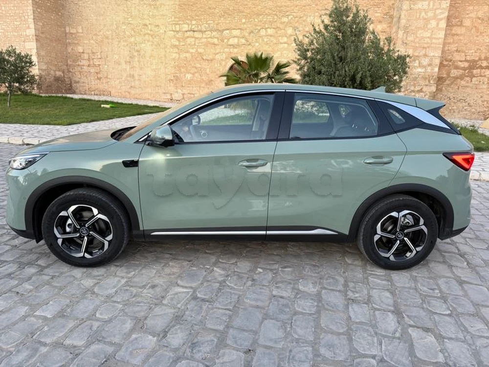BYD F1