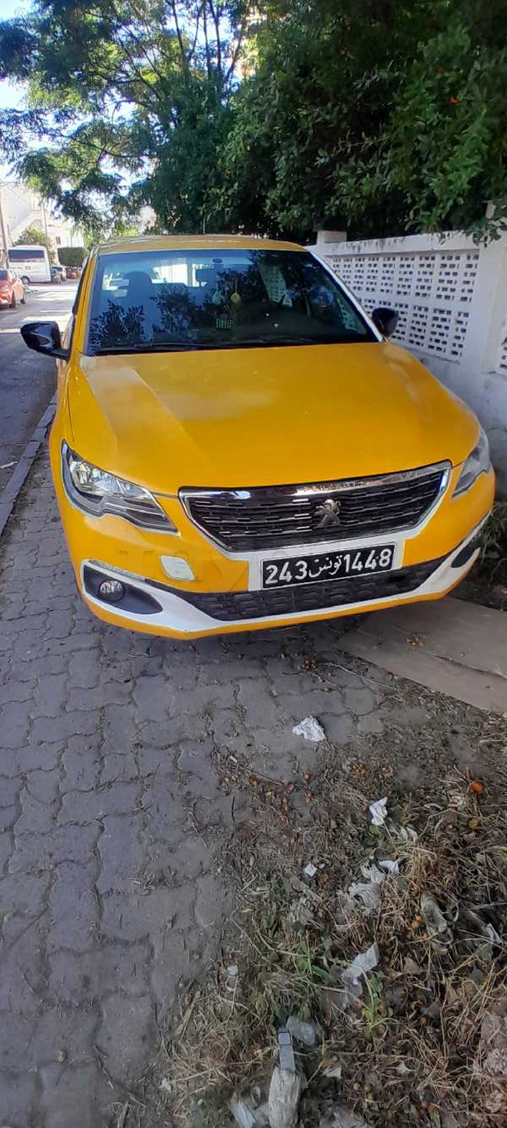 Peugeot 301