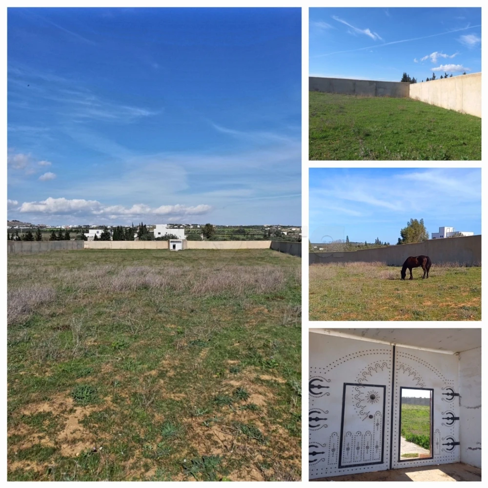Forfait! Forsa! PRIX EXTRÊMEMENT NÉGOCIABLE ! TERRAIN ENTIÈREMENT CLÔTURÉ À HAMMAMET DE 8200M²