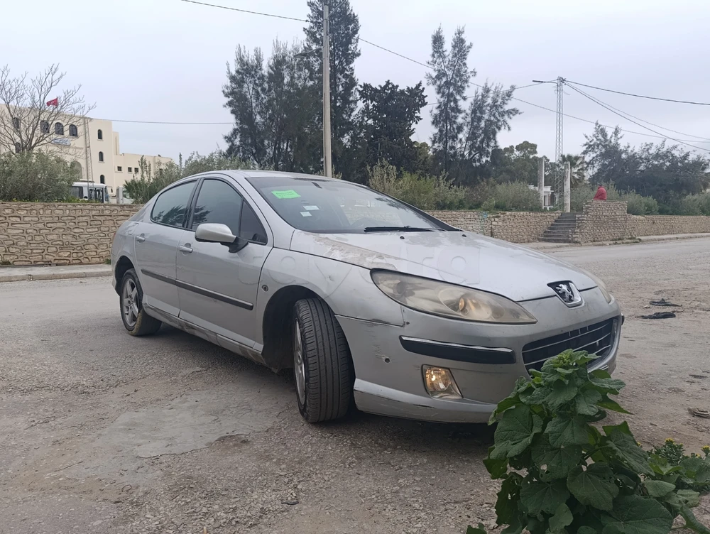 Carte voiture Peugeot 407