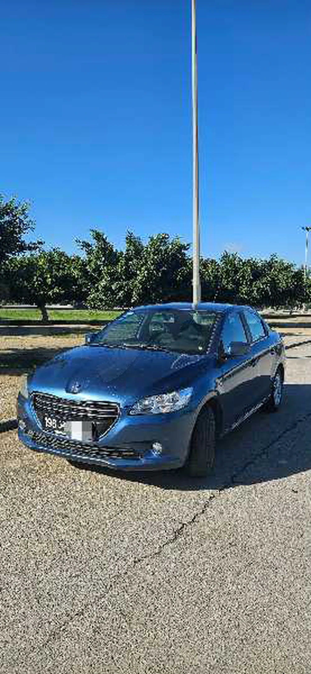 Carte voiture Peugeot 301