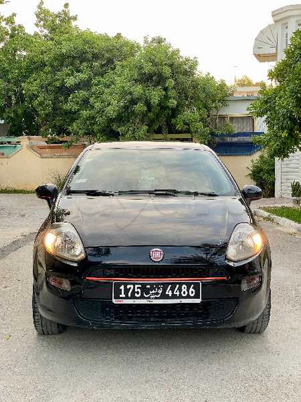 Carte voiture Fiat Punto