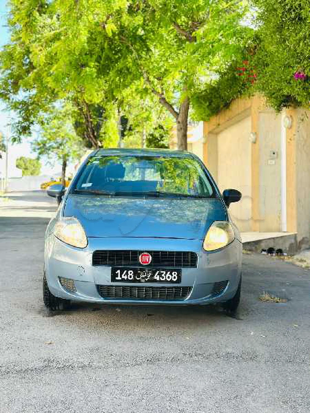 Carte voiture Fiat Punto