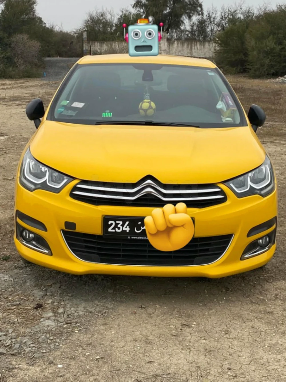 Carte voiture Citroen C4