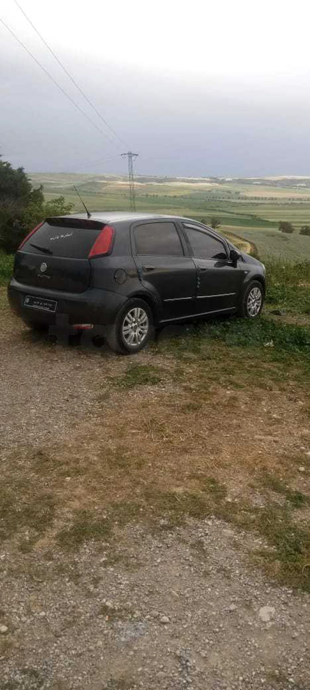 Carte voiture Fiat Punto