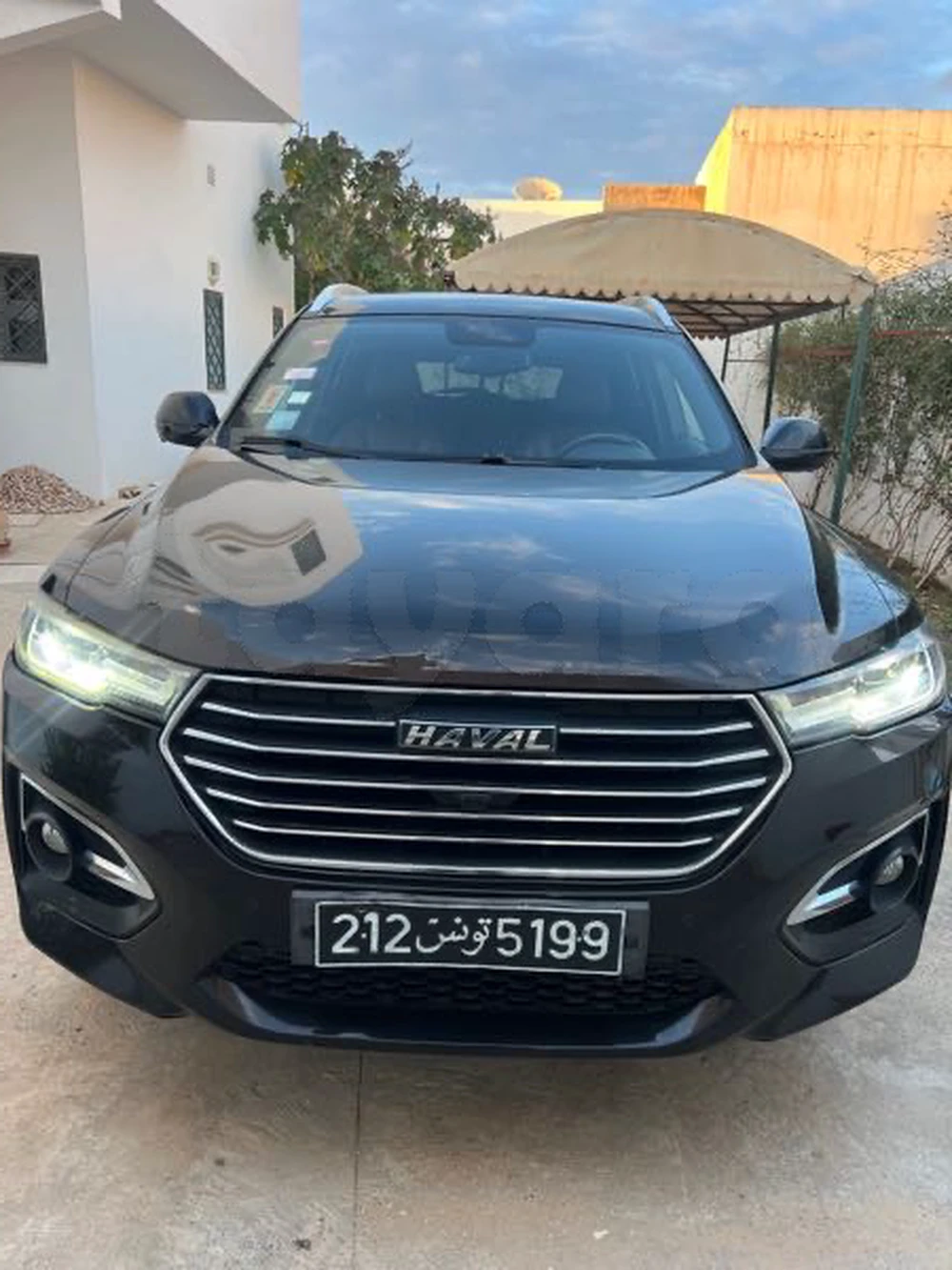 Carte voiture Haval H6