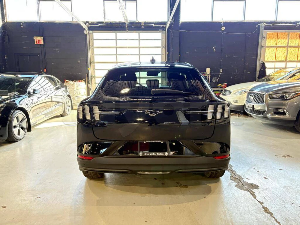 Carte voiture Ford Mustang