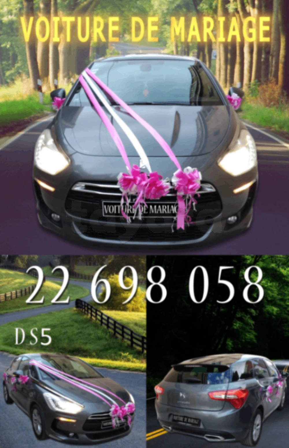 Carte voiture Citroen DS5