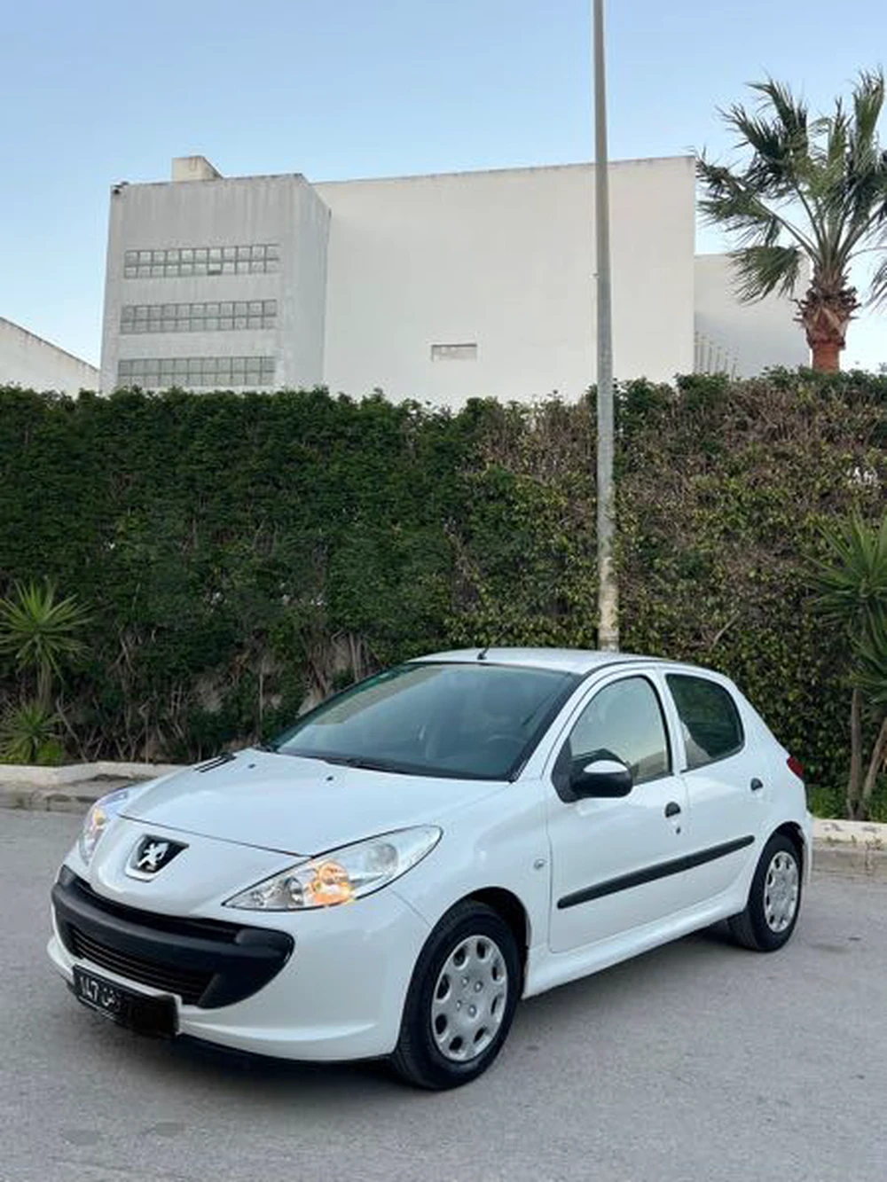 Carte voiture Peugeot 206