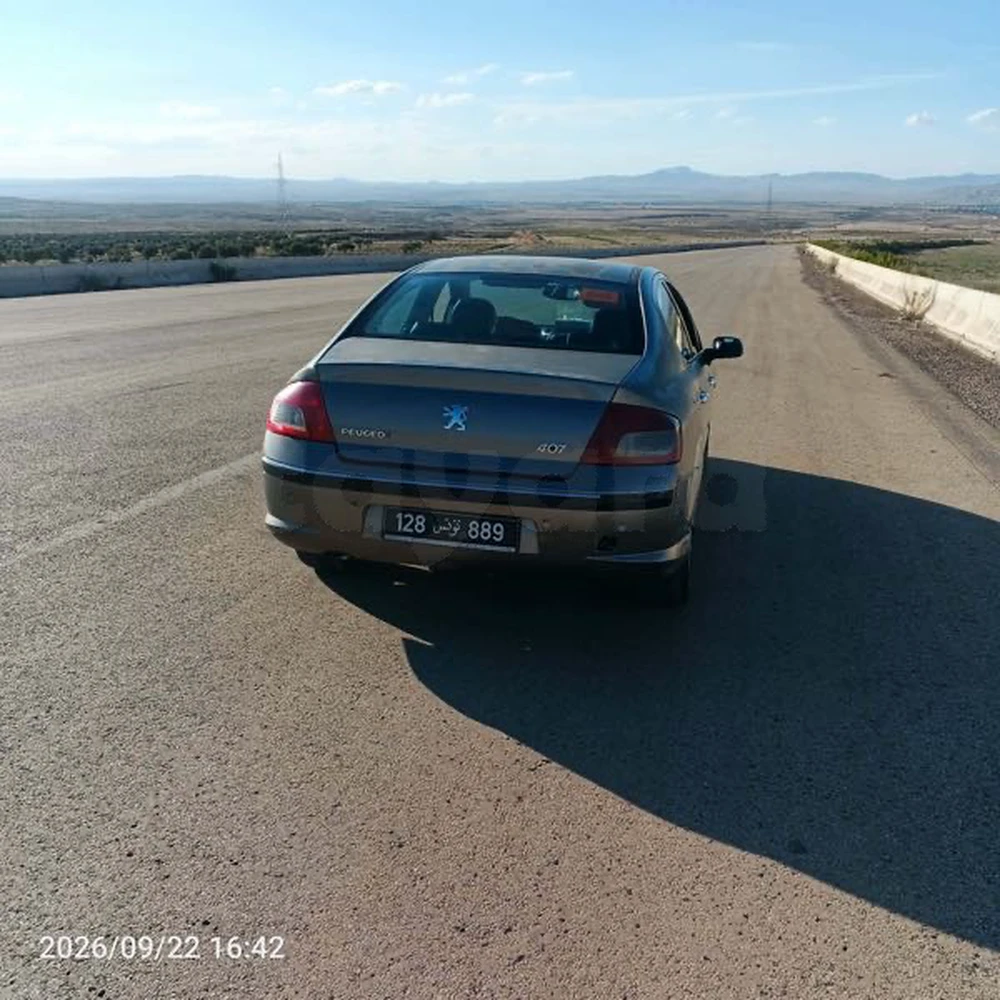 Peugeot 407