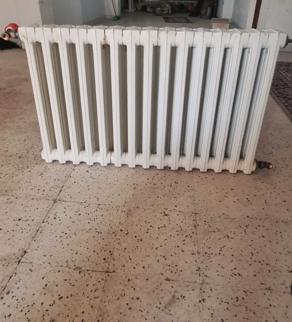 Radiateur en fonte