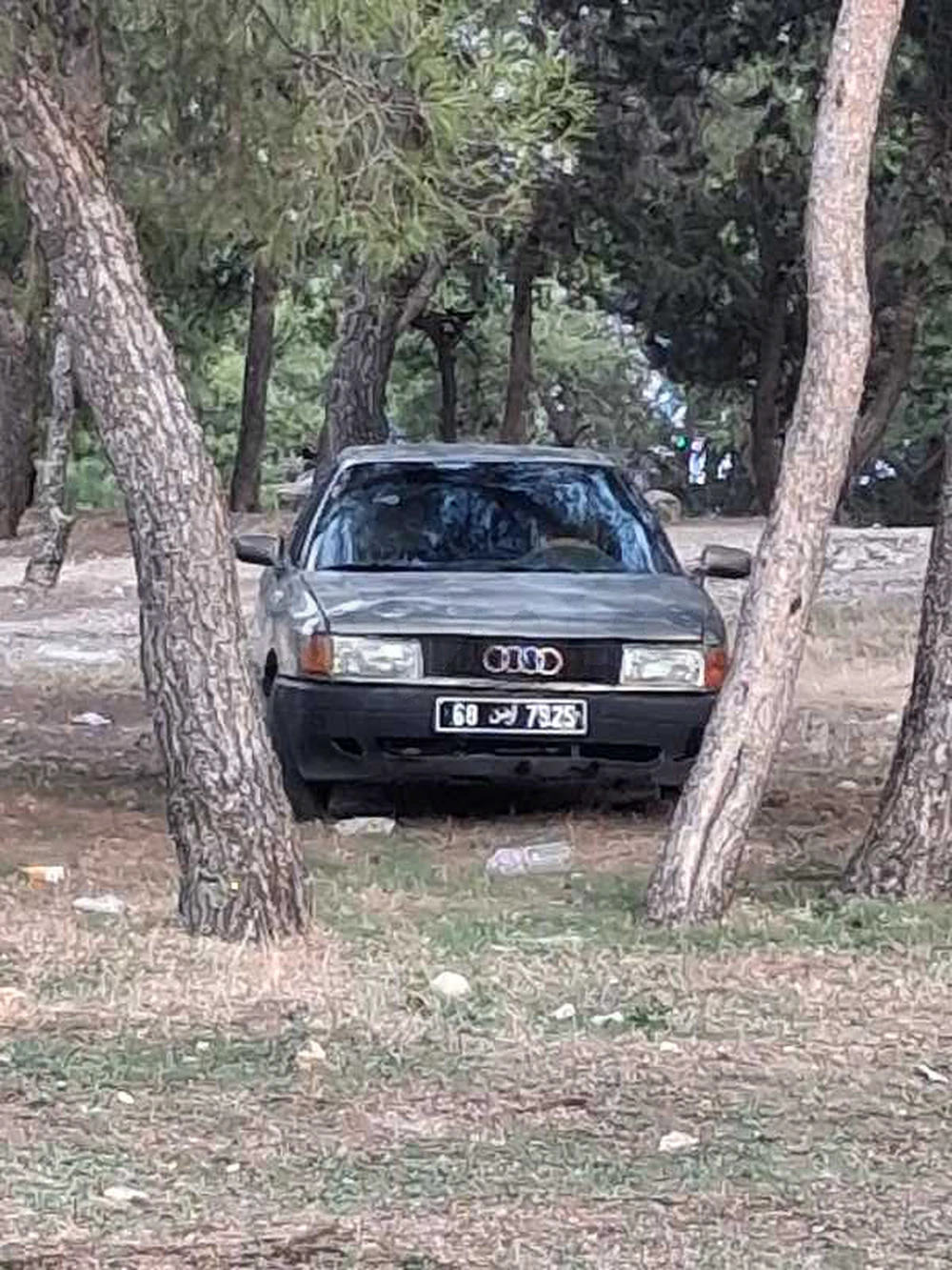 Audi 80