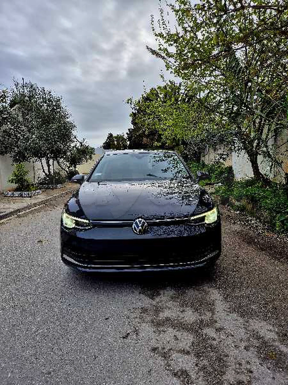 Carte voiture Volkswagen Golf 8