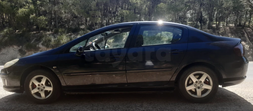 Peugeot 407