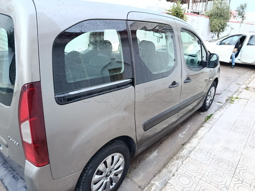 Carte voiture Peugeot Tepee