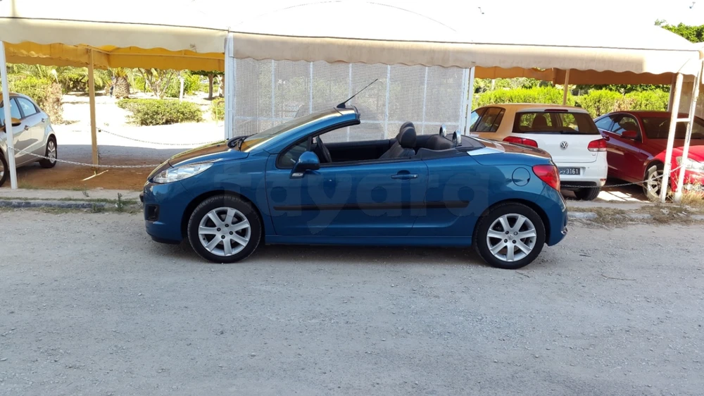 Carte voiture Peugeot 207