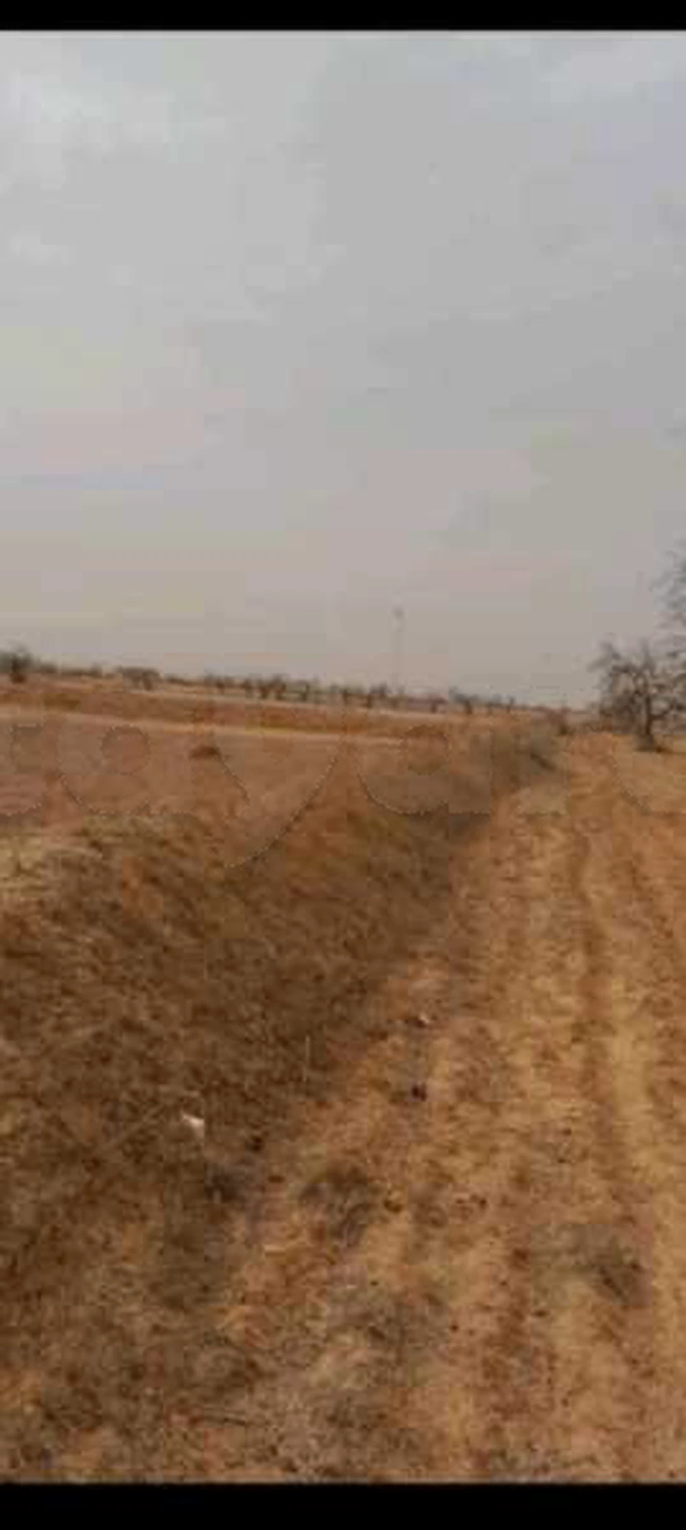 A vendre un terrain route tenniour km17 au bord de la route