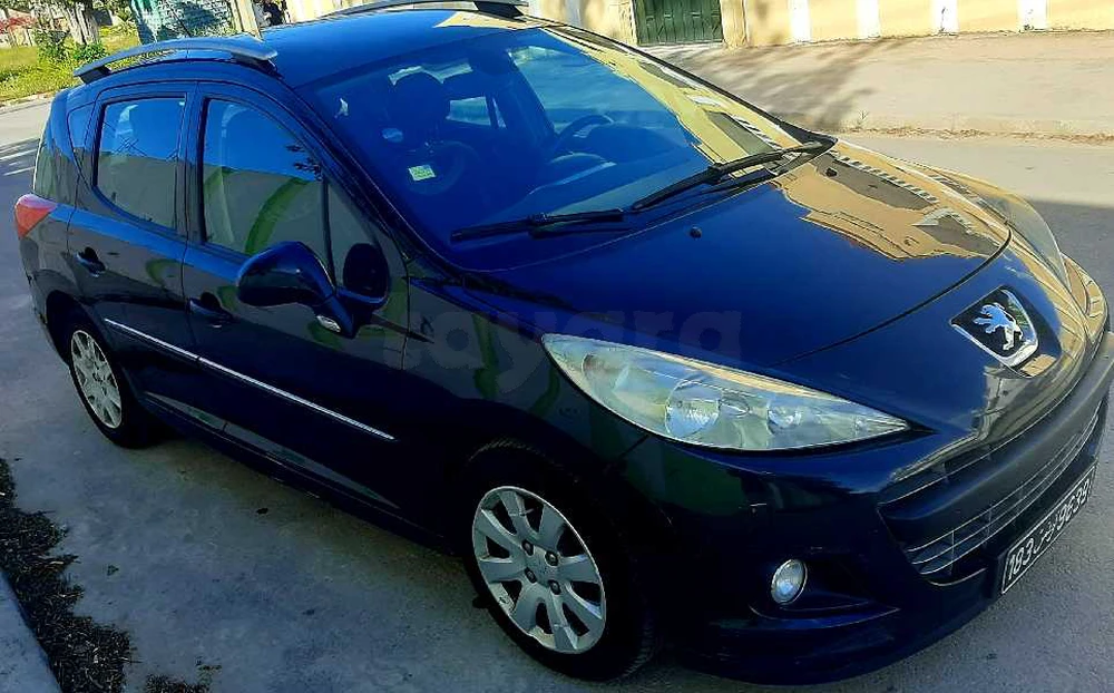 Carte voiture Peugeot 207 SW