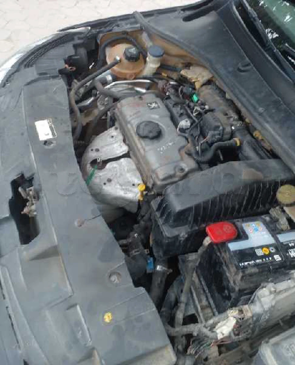 Carte voiture Peugeot 301