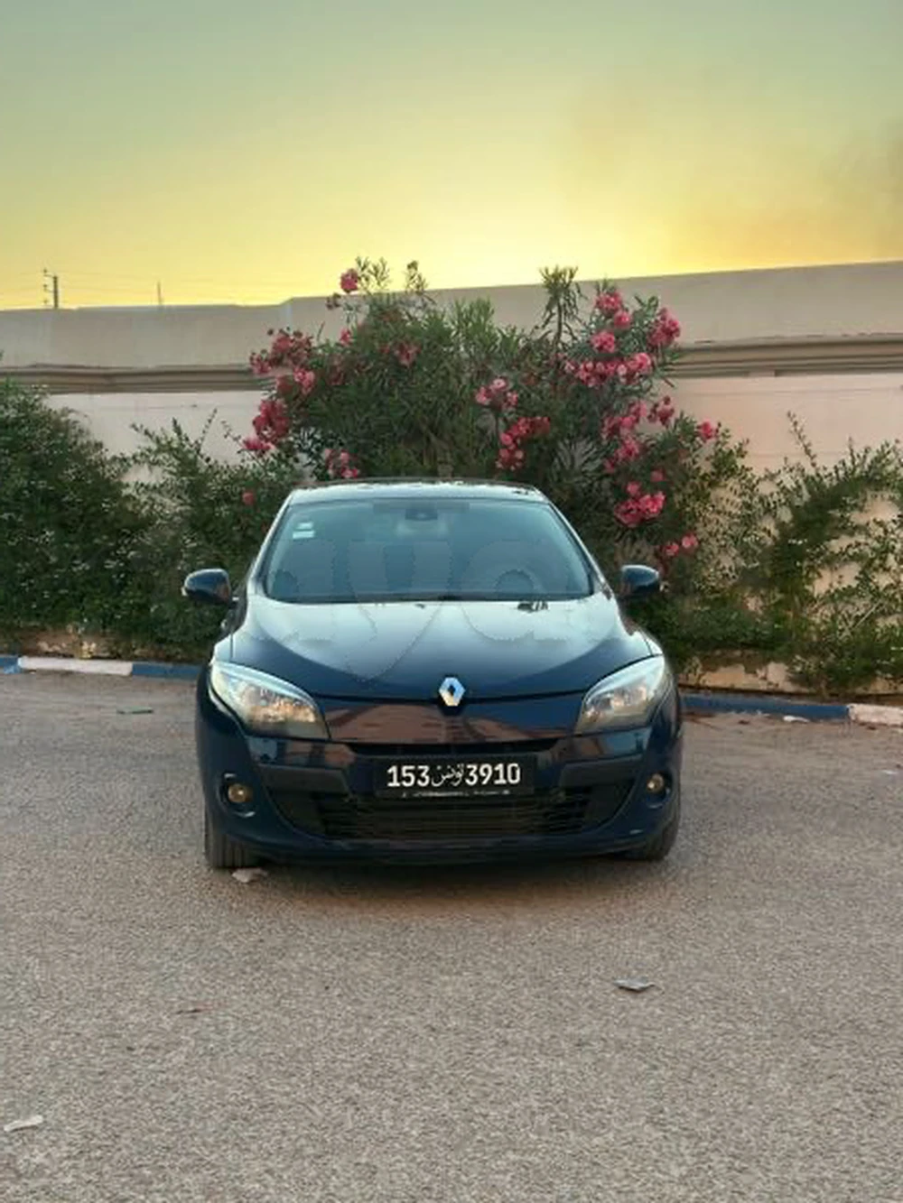 Carte voiture Renault Megane
