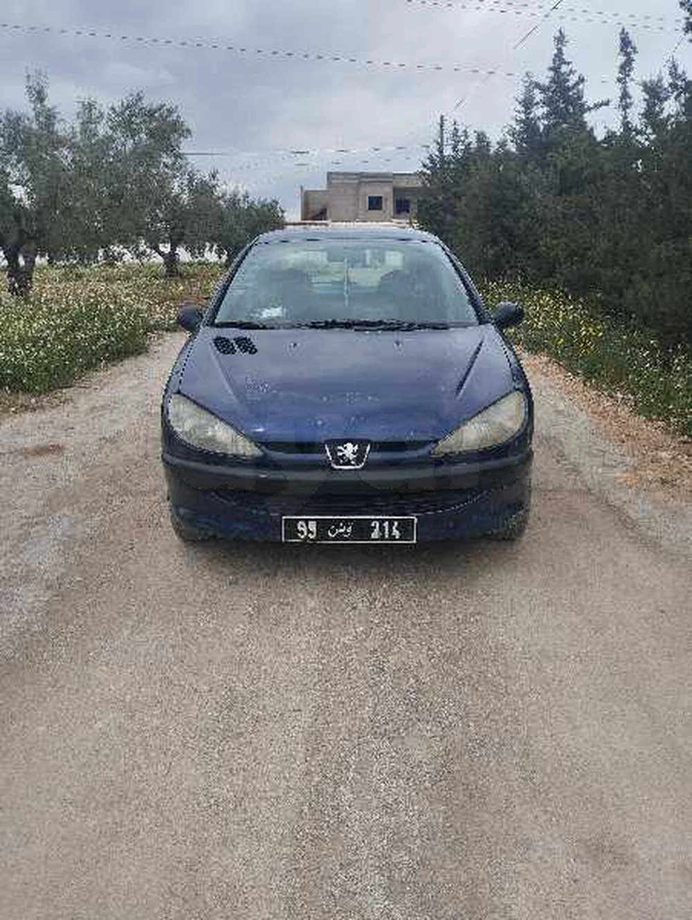 Carte voiture Peugeot 206