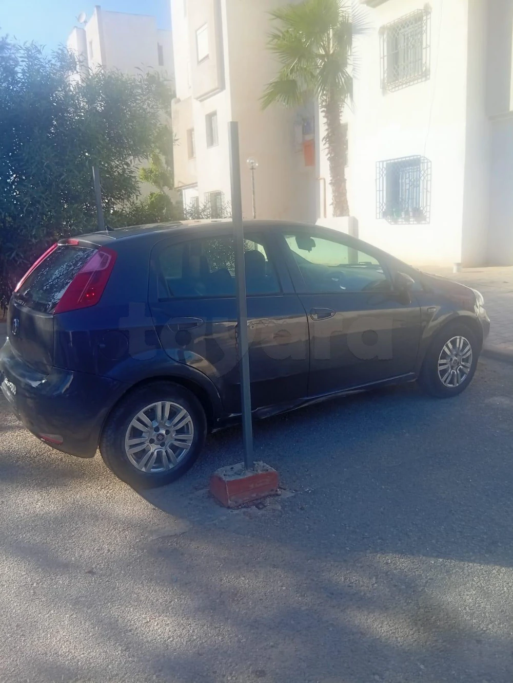 Carte voiture Fiat Punto