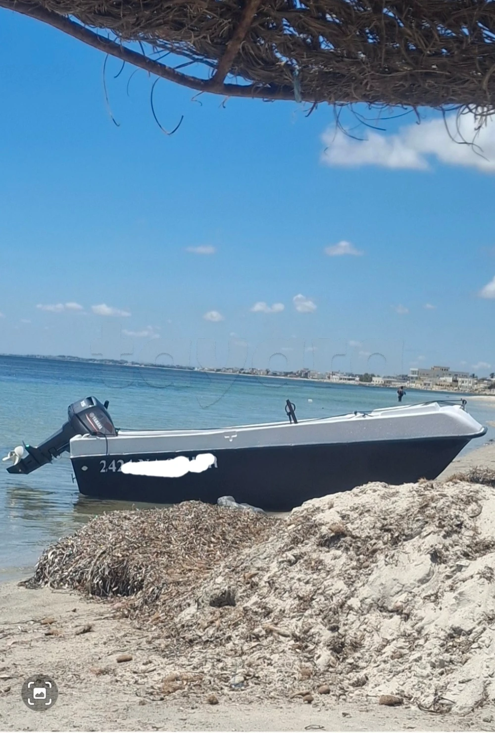 bateau model daufin 3.50 m