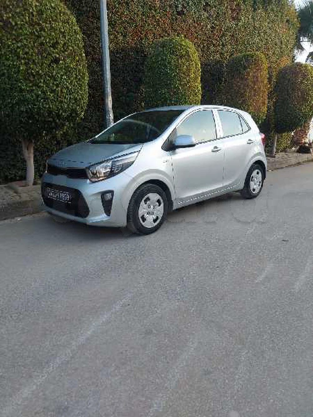 Carte voiture Kia Picanto