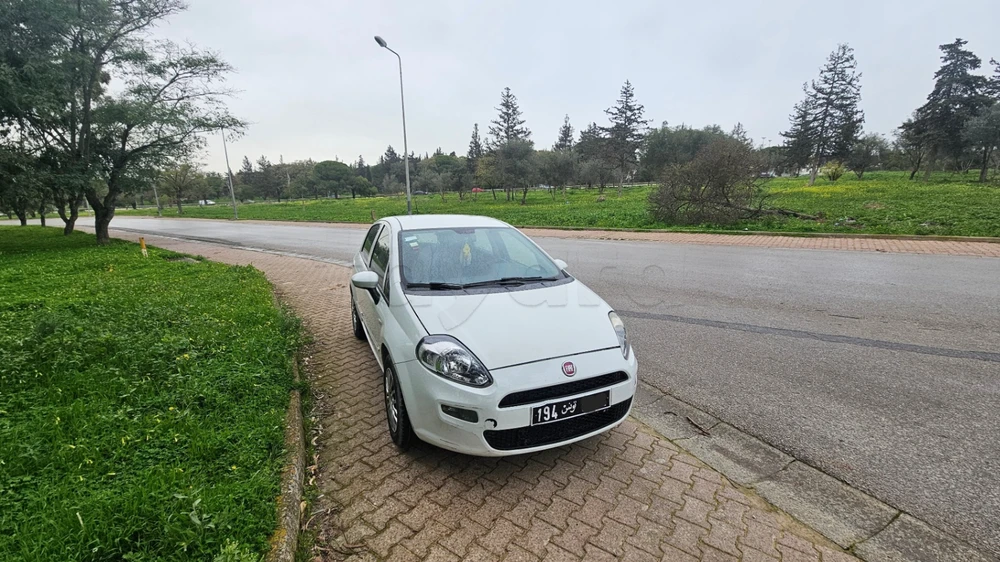 Carte voiture Fiat Punto