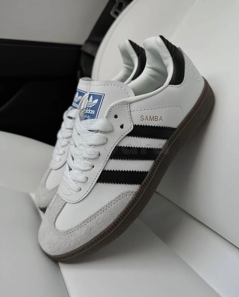 Samba (38) importé d'Allemagne