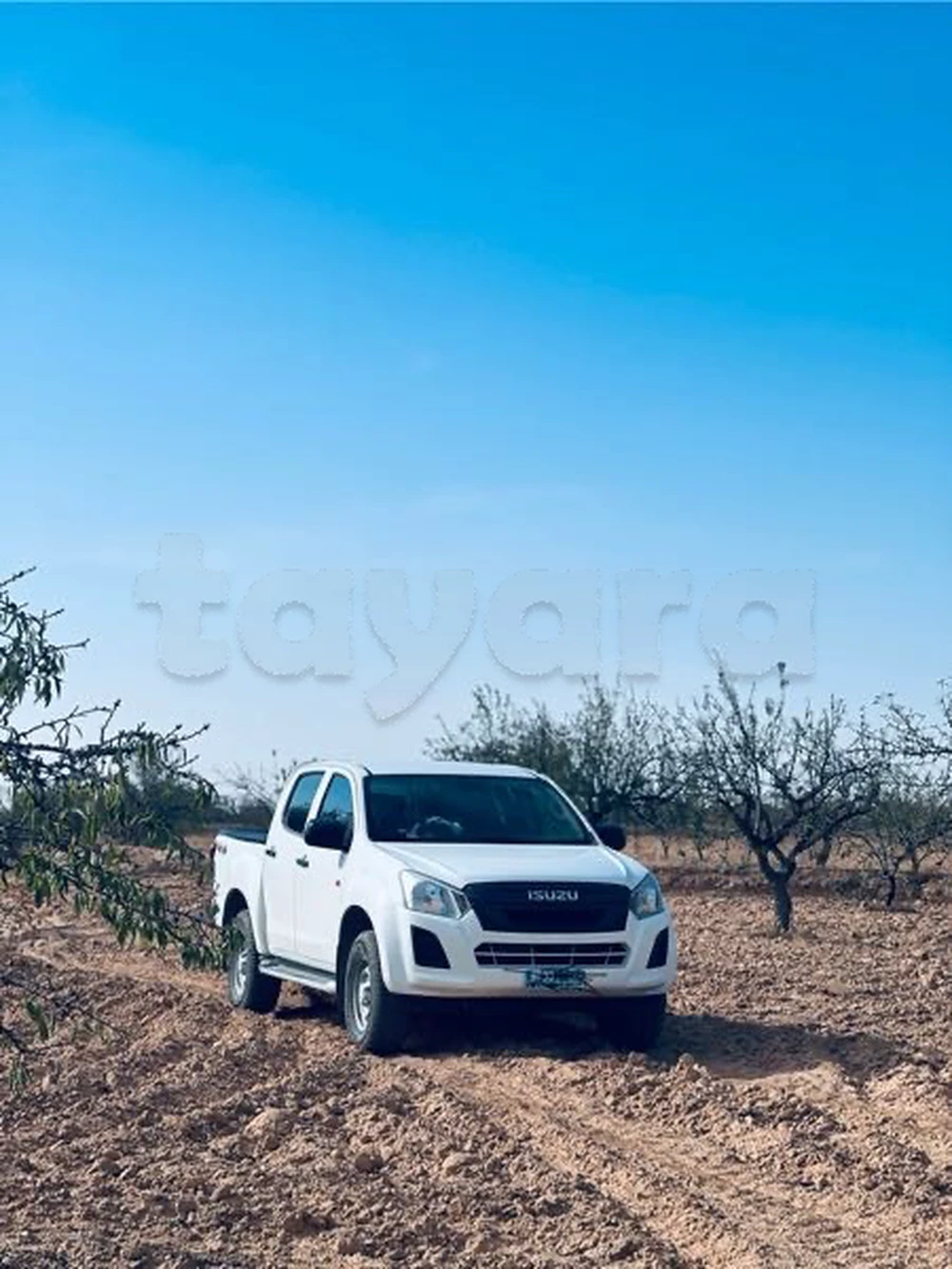 Carte voiture Isuzu D-Max