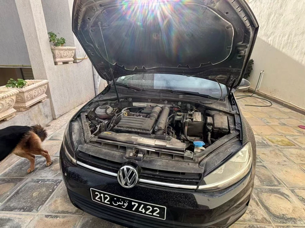 Carte voiture Volkswagen Golf