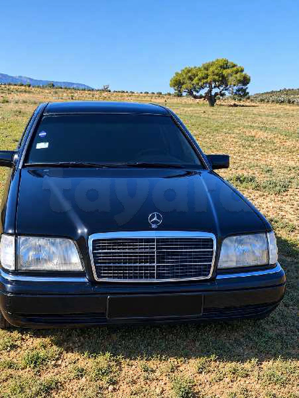Mercedes-Benz 250