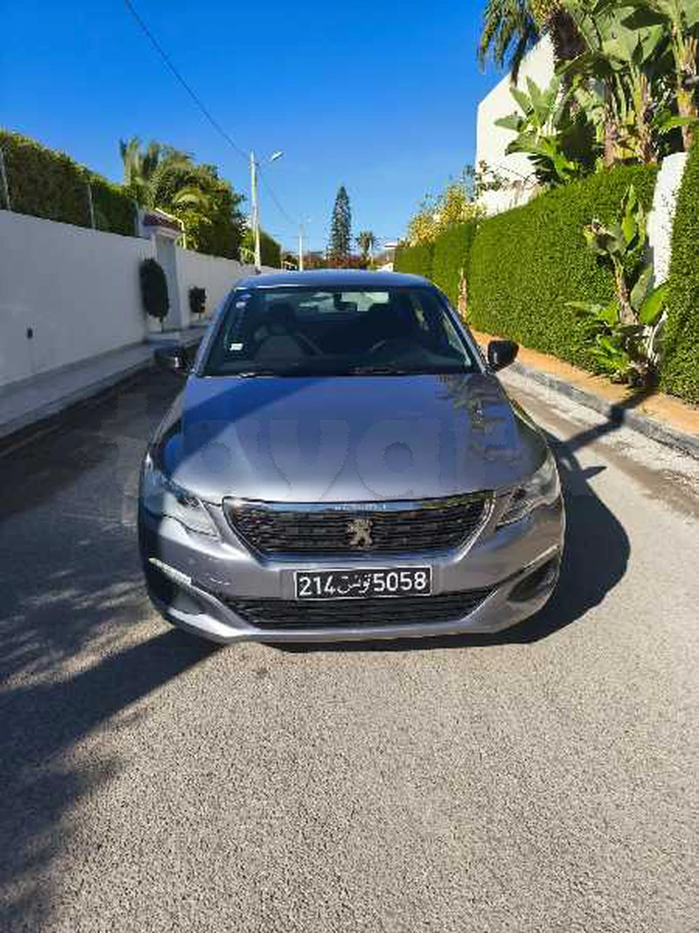 Carte voiture Peugeot 301