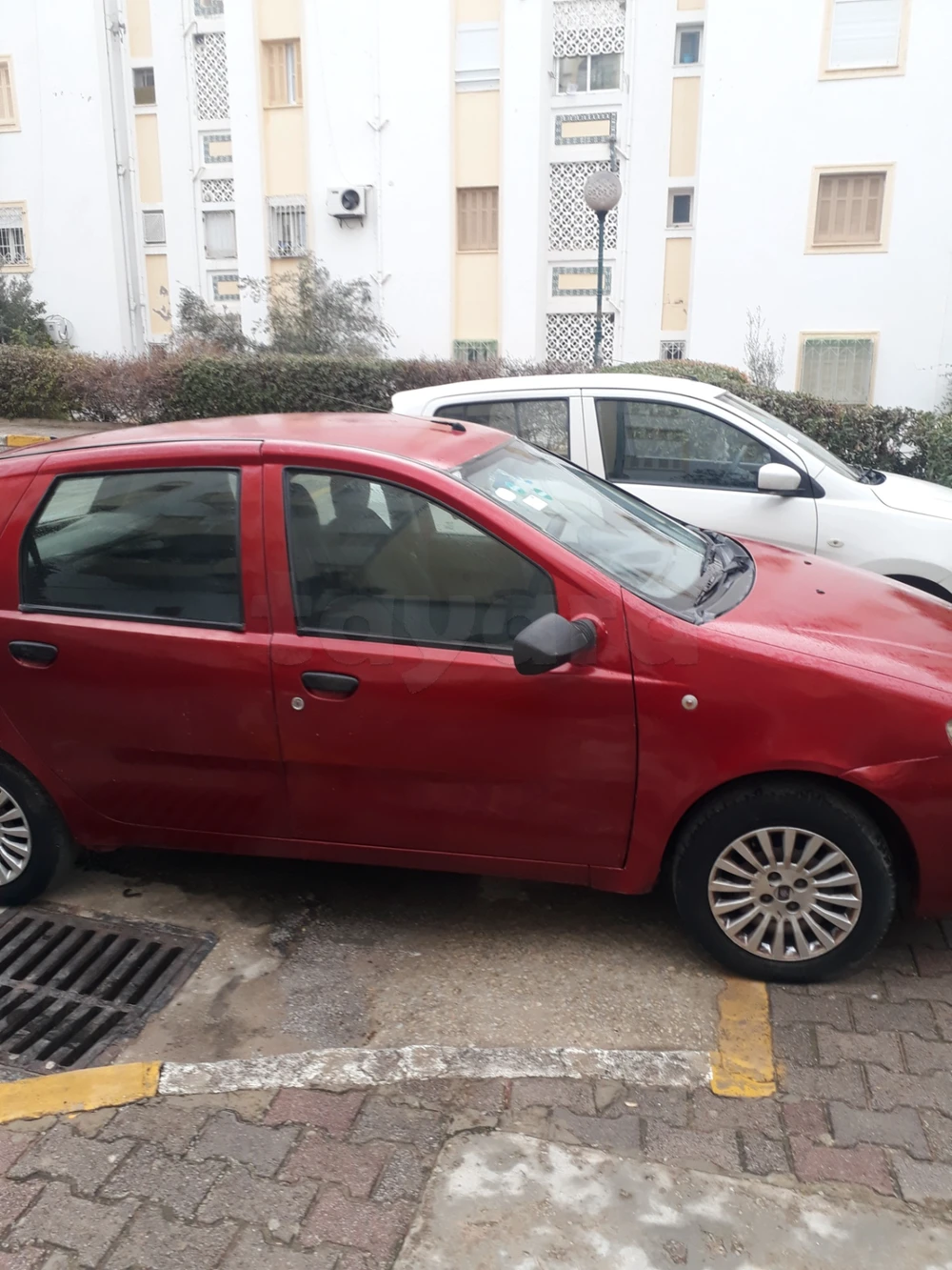 Carte voiture Fiat Punto