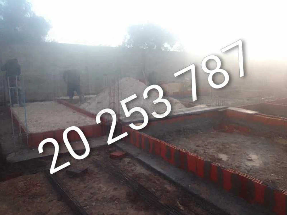20،253،787