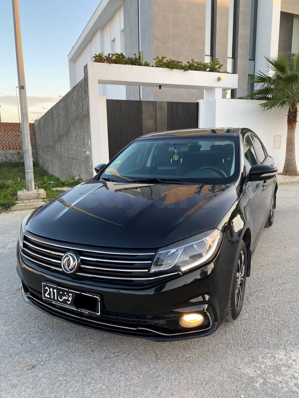 Carte voiture DongFeng S50