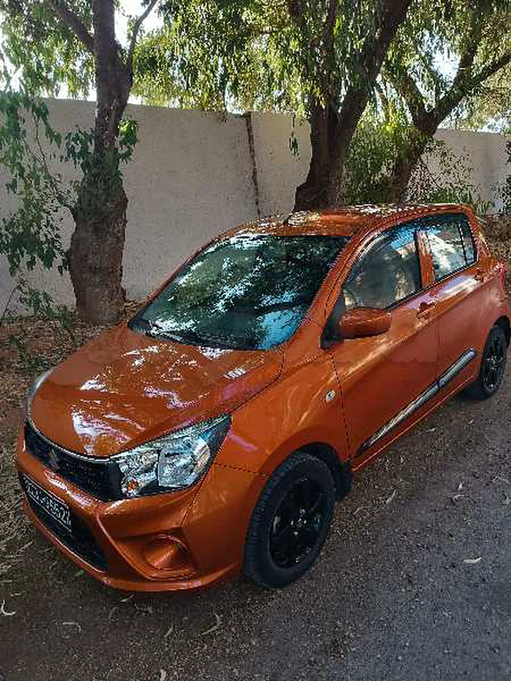 Carte voiture Suzuki Celerio