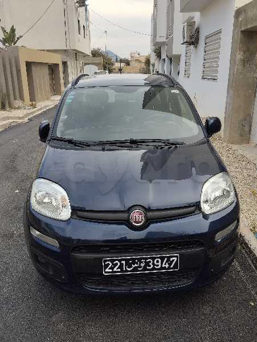 Carte voiture Fiat Panda